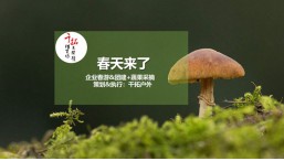春季團建—楊墩團建+蔬果采摘